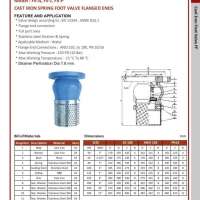 Cast Iron Spring Foot Valve Flanged Ends 0