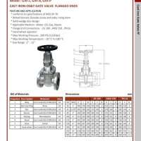 Cast Iron OS & Y Gate Valve Flanged Ends