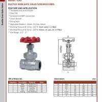 Ductile Iron Gate Valve Screwed Ends