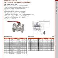 2-Pc Cast Iron Ball Valve Flanged Ends