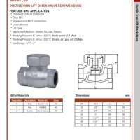 Ductile Iron Lift Check Valve Screwed Ends 0