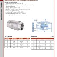 Stainless Steel Spring Check Valve Screwed Ends
